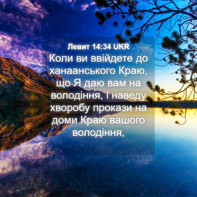 Picture 04 - Левит 14:34 UKR - Коли ви ввійдете до - Bible Verse Picture
