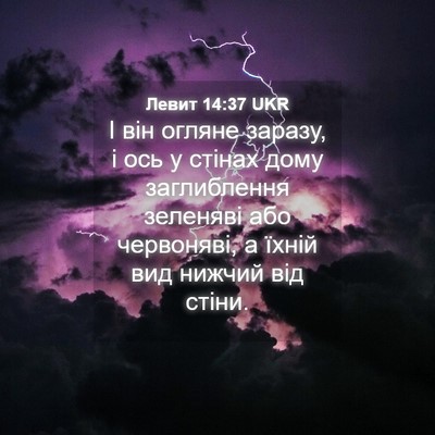 Picture 04 - Левит 14:37 UKR - І він огляне заразу, і ось у - Bible Verse Picture