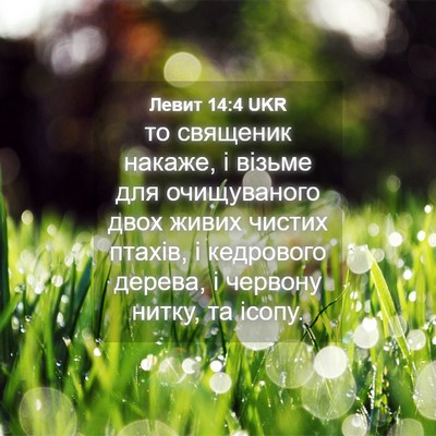 Picture 04 - Левит 14:4 UKR - то священик накаже, і - Bible Verse Picture