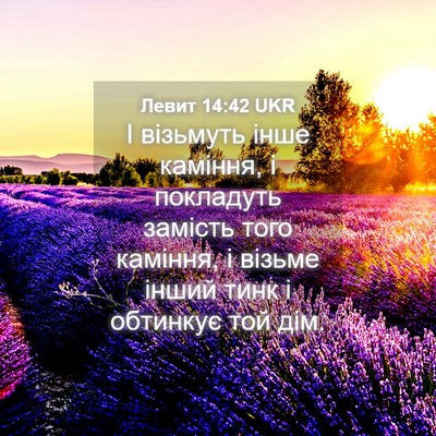 Picture 04 - Левит 14:42 UKR - І візьмуть інше каміння, і - Bible Verse Picture