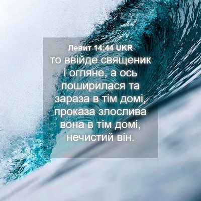 Picture 04 - Левит 14:44 UKR - то ввійде священик і - Bible Verse Picture