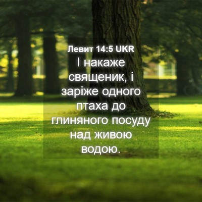 Picture 04 - Левит 14:5 UKR - І накаже священик, і заріже - Bible Verse Picture