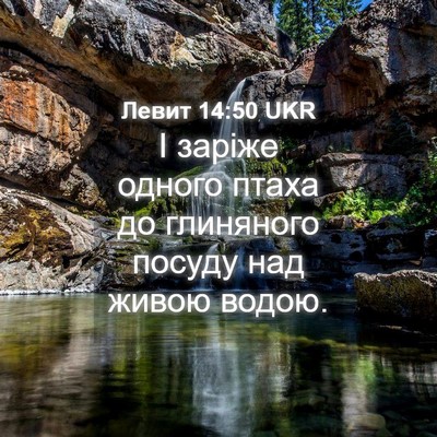 Picture 04 - Левит 14:50 UKR - І заріже одного птаха до - Bible Verse Picture