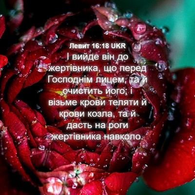 Picture 04 - Левит 16:18 UKR - І вийде він до жертівника, - Bible Verse Picture