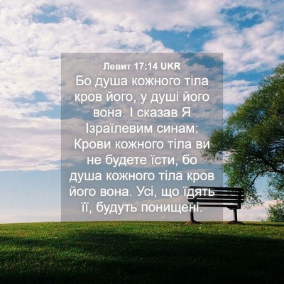 Picture 04 - Левит 17:14 UKR - Бо душа кожного тіла кров - Bible Verse Picture