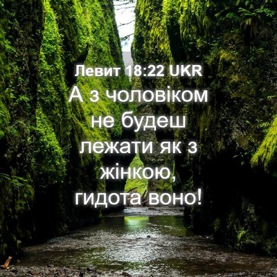 Picture 04 - Левит 18:22 UKR - А з чоловіком не будеш - Bible Verse Picture