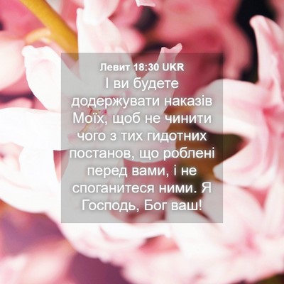 Picture 04 - Левит 18:30 UKR - І ви будете додержувати - Bible Verse Picture