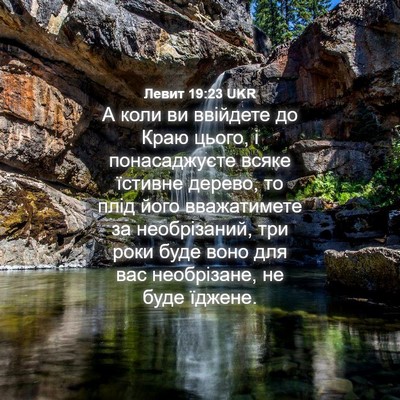 Picture 04 - Левит 19:23 UKR - А коли ви ввійдете до Краю - Bible Verse Picture