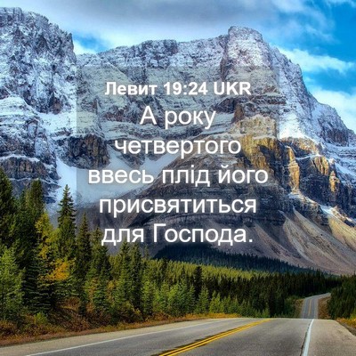 Picture 04 - Левит 19:24 UKR - А року четвертого ввесь - Bible Verse Picture