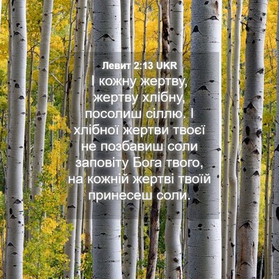 Picture 04 - Левит 2:13 UKR - І кожну жертву, жертву - Bible Verse Picture