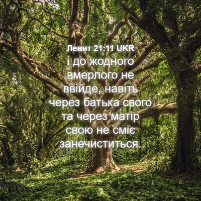 Picture 04 - Левит 21:11 UKR - і до жодного вмерлого не - Bible Verse Picture