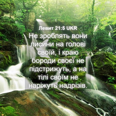 Picture 04 - Левит 21:5 UKR - Не зроблять вони лисини на - Bible Verse Picture