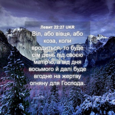 Picture 04 - Левит 22:27 UKR - Віл, або вівця, або коза, - Bible Verse Picture