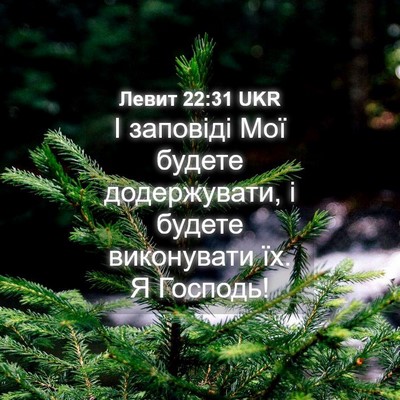 Picture 04 - Левит 22:31 UKR - І заповіді Мої будете - Bible Verse Picture