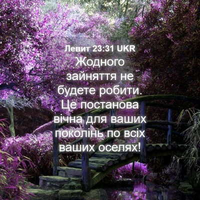 Picture 04 - Левит 23:31 UKR - Жодного зайняття не будете - Bible Verse Picture