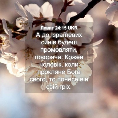 Picture 04 - Левит 24:15 UKR - А до Ізраїлевих синів - Bible Verse Picture