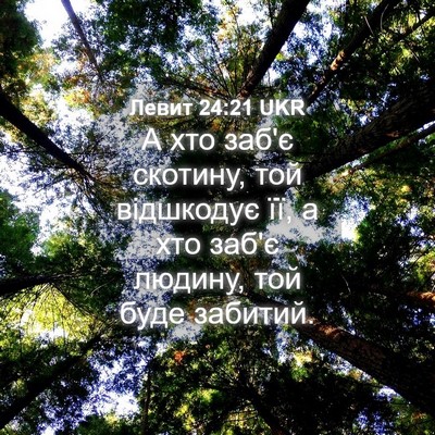 Picture 04 - Левит 24:21 UKR - А хто заб'є скотину, той - Bible Verse Picture
