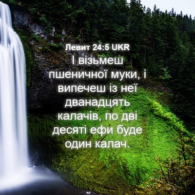 Picture 04 - Левит 24:5 UKR - І візьмеш пшеничної муки, і - Bible Verse Picture
