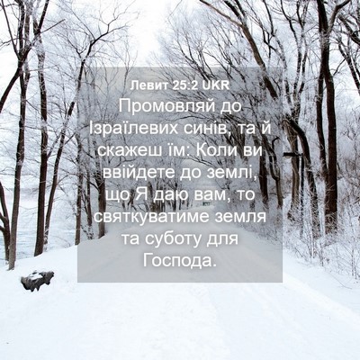 Picture 04 - Левит 25:2 UKR - Промовляй до Ізраїлевих - Bible Verse Picture