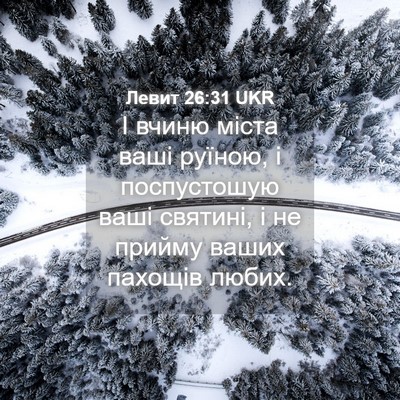 Picture 04 - Левит 26:31 UKR - І вчиню міста ваші руїною, - Bible Verse Picture