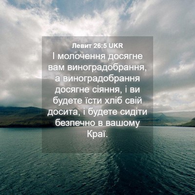 Picture 04 - Левит 26:5 UKR - І молочення досягне вам - Bible Verse Picture