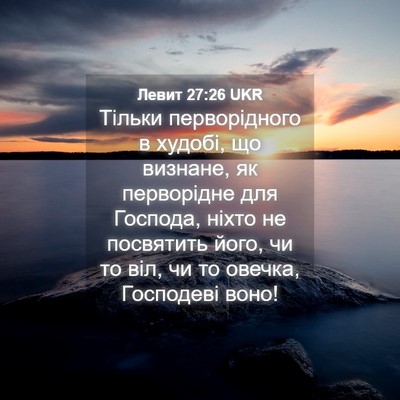 Picture 04 - Левит 27:26 UKR - Тільки перворідного в - Bible Verse Picture