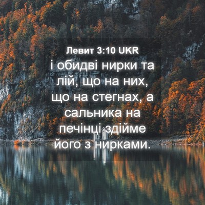 Picture 04 - Левит 3:10 UKR - і обидві нирки та лій, що на - Bible Verse Picture