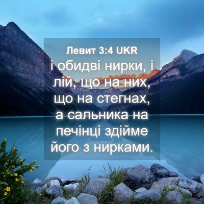 Picture 04 - Левит 3:4 UKR - і обидві нирки, і лій, що на - Bible Verse Picture