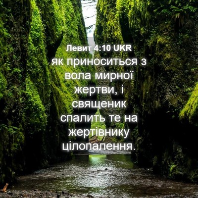 Picture 04 - Левит 4:10 UKR - як приноситься з вола - Bible Verse Picture