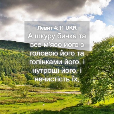 Picture 04 - Левит 4:11 UKR - А шкуру бичка та все м'ясо - Bible Verse Picture