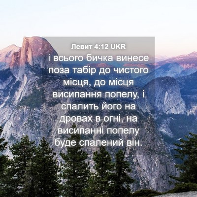 Picture 04 - Левит 4:12 UKR - і всього бичка винесе поза - Bible Verse Picture