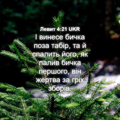 Picture 04 - Левит 4:21 UKR - І винесе бичка поза табір, - Bible Verse Picture