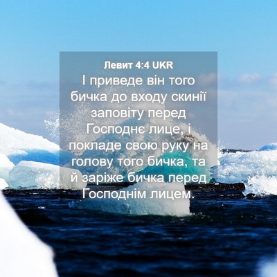 Picture 04 - Левит 4:4 UKR - І приведе він того бичка до - Bible Verse Picture