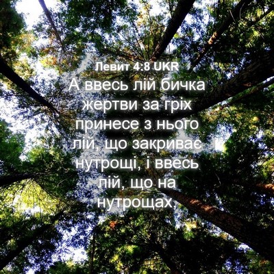 Picture 04 - Левит 4:8 UKR - А ввесь лій бичка жертви за - Bible Verse Picture