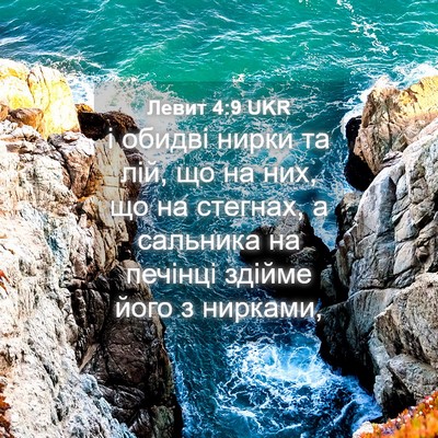 Picture 04 - Левит 4:9 UKR - і обидві нирки та лій, що на - Bible Verse Picture