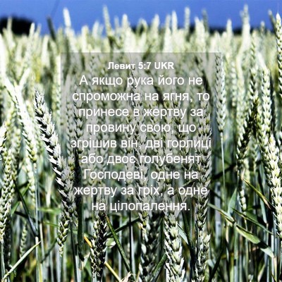 Picture 04 - Левит 5:7 UKR - А якщо рука його не - Bible Verse Picture