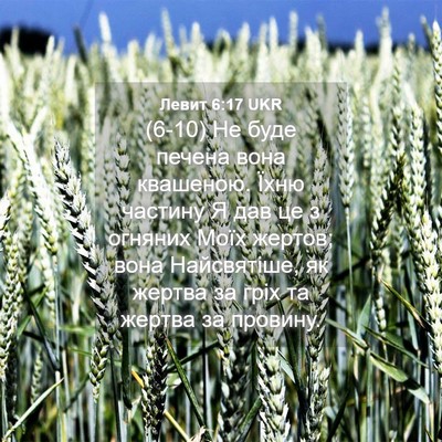 Picture 04 - Левит 6:17 UKR - (6-10) Не буде печена вона - Bible Verse Picture
