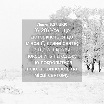 Picture 04 - Левит 6:27 UKR - (6-20) Усе, що доторкнеться до - Bible Verse Picture