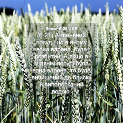 Picture 04 - Левит 6:28 UKR - (6-21) А глиняний посуд, що в - Bible Verse Picture