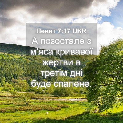 Picture 04 - Левит 7:17 UKR - А позостале з м'яса - Bible Verse Picture