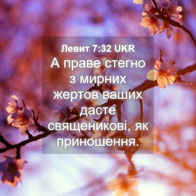 Picture 04 - Левит 7:32 UKR - А праве стегно з мирних - Bible Verse Picture