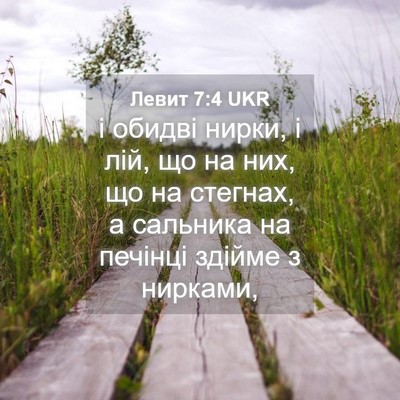Picture 04 - Левит 7:4 UKR - і обидві нирки, і лій, що на - Bible Verse Picture