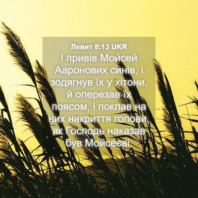 Picture 04 - Левит 8:13 UKR - І привів Мойсей Ааронових - Bible Verse Picture