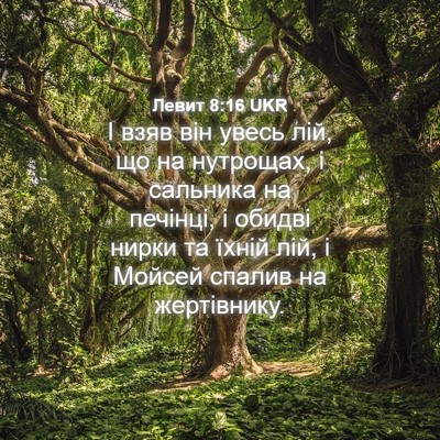 Picture 04 - Левит 8:16 UKR - І взяв він увесь лій, що на - Bible Verse Picture