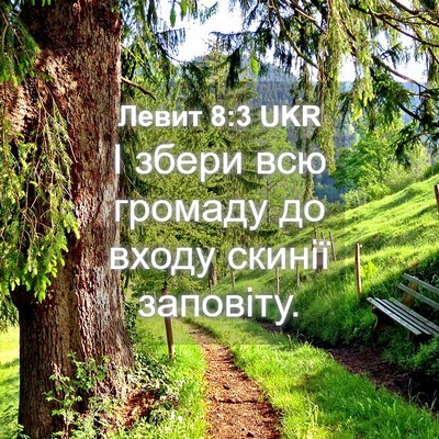Picture 04 - Левит 8:3 UKR - І збери всю громаду до - Bible Verse Picture