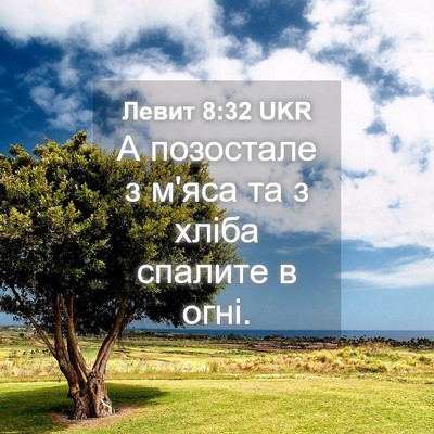 Picture 04 - Левит 8:32 UKR - А позостале з м'яса та з - Bible Verse Picture