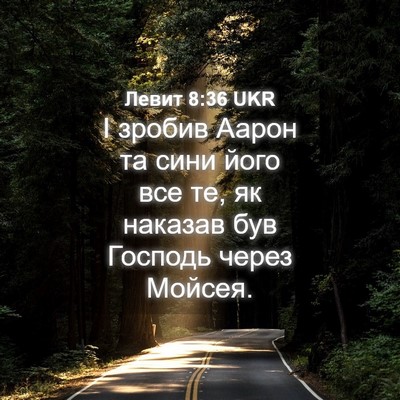 Picture 04 - Левит 8:36 UKR - І зробив Аарон та сини його - Bible Verse Picture