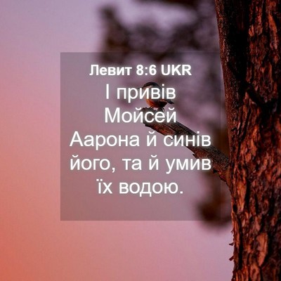 Picture 04 - Левит 8:6 UKR - І привів Мойсей Аарона й - Bible Verse Picture