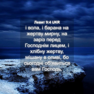 Picture 04 - Левит 9:4 UKR - і вола, і барана на жертву - Bible Verse Picture