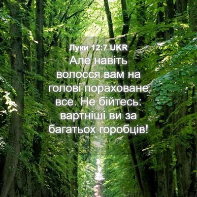 Picture 04 - Луки 12:7 UKR - Але навіть волосся вам на - Bible Verse Picture